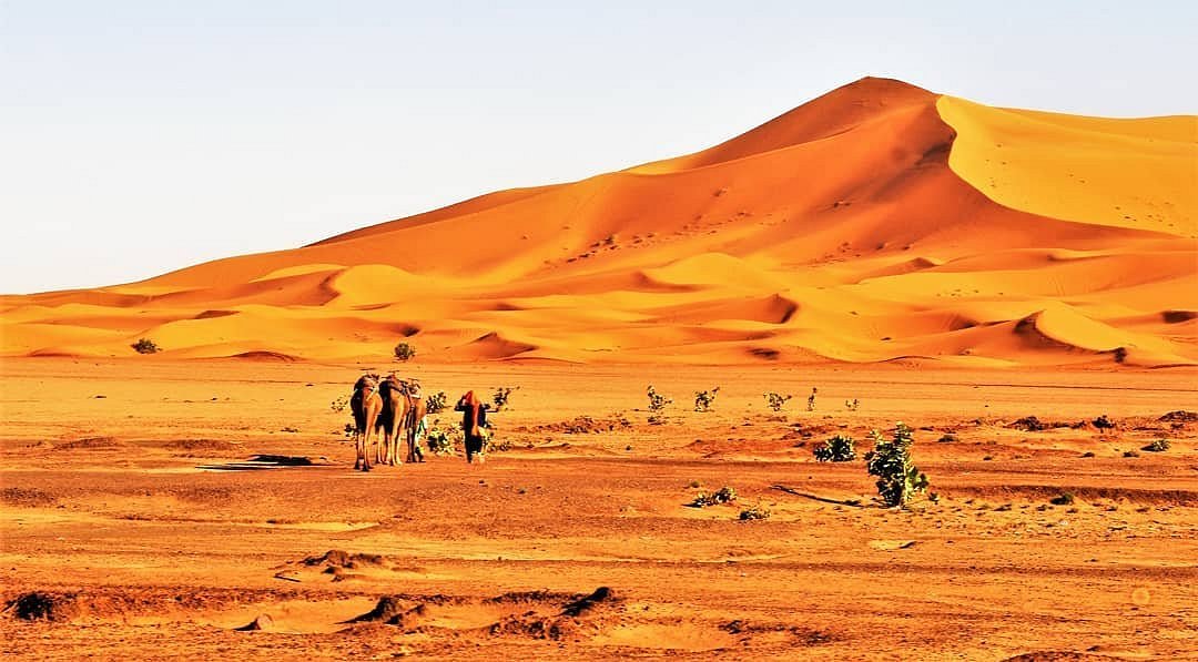 Image of a dune landscape in Africa